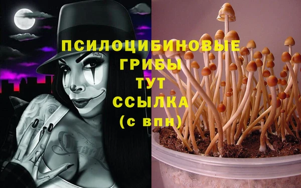 дживик Нея