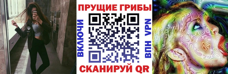 Псилоцибиновые грибы GOLDEN TEACHER где найти наркотики Новоалександровск