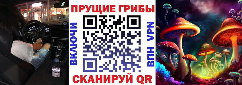 Галлюциногенные грибы прущие грибы Новоалександровск