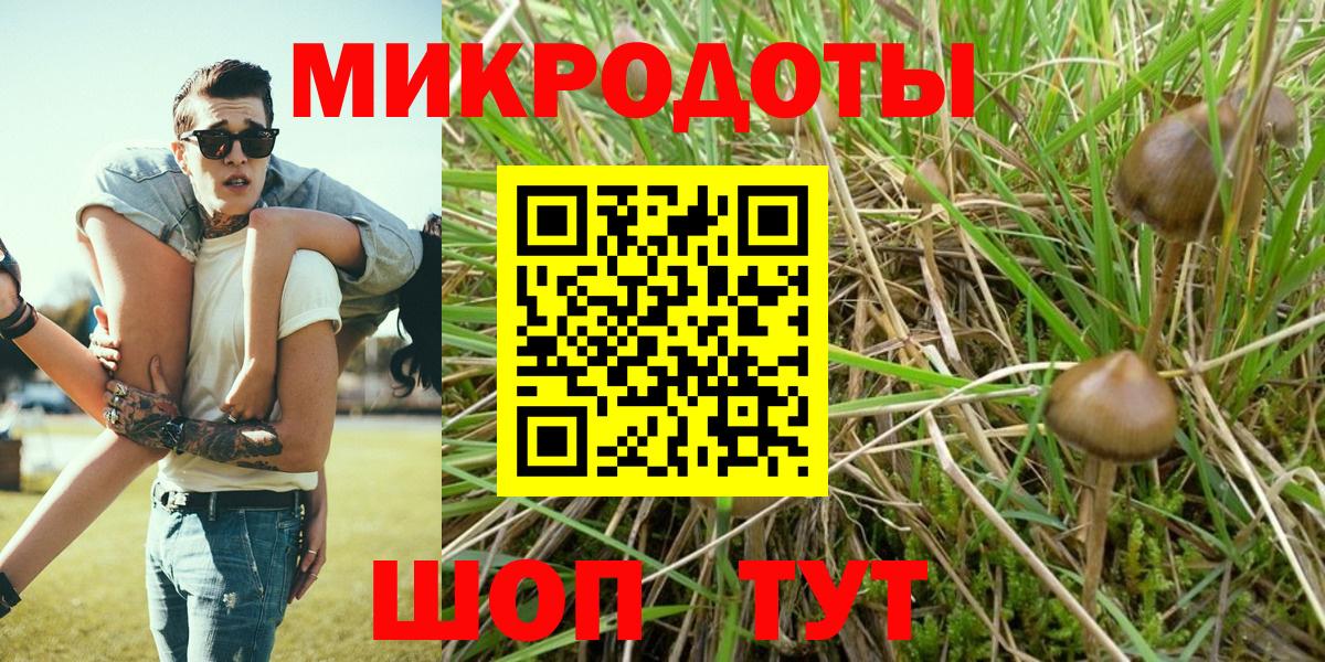 Псилоцибиновые грибы Cubensis  Псилоцибиновые грибы Cubensis  Вход с VPN  Новоалександровск 
