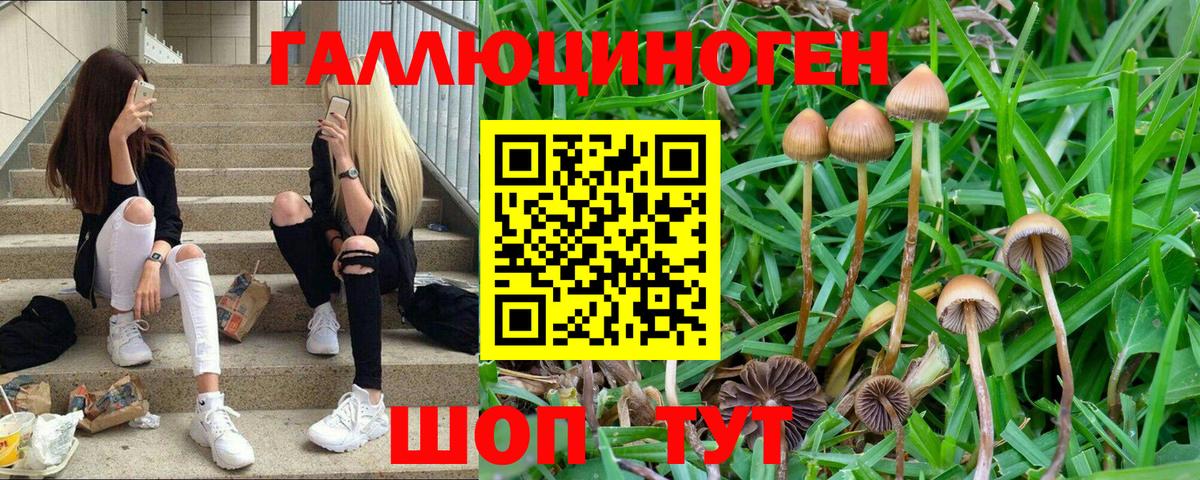 АМФЕТАМИН Новоалександровск