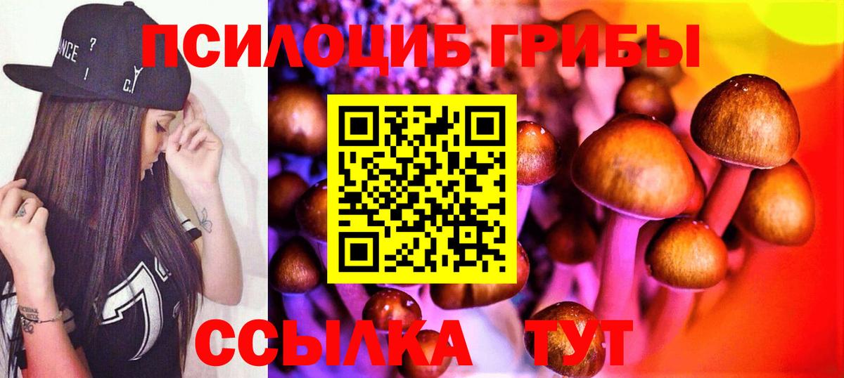 Псилоцибиновые грибы Magic Shrooms Новоалександровск
